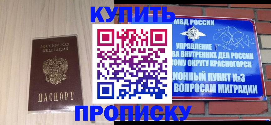 временная регистрация для всех в Дальнегорске